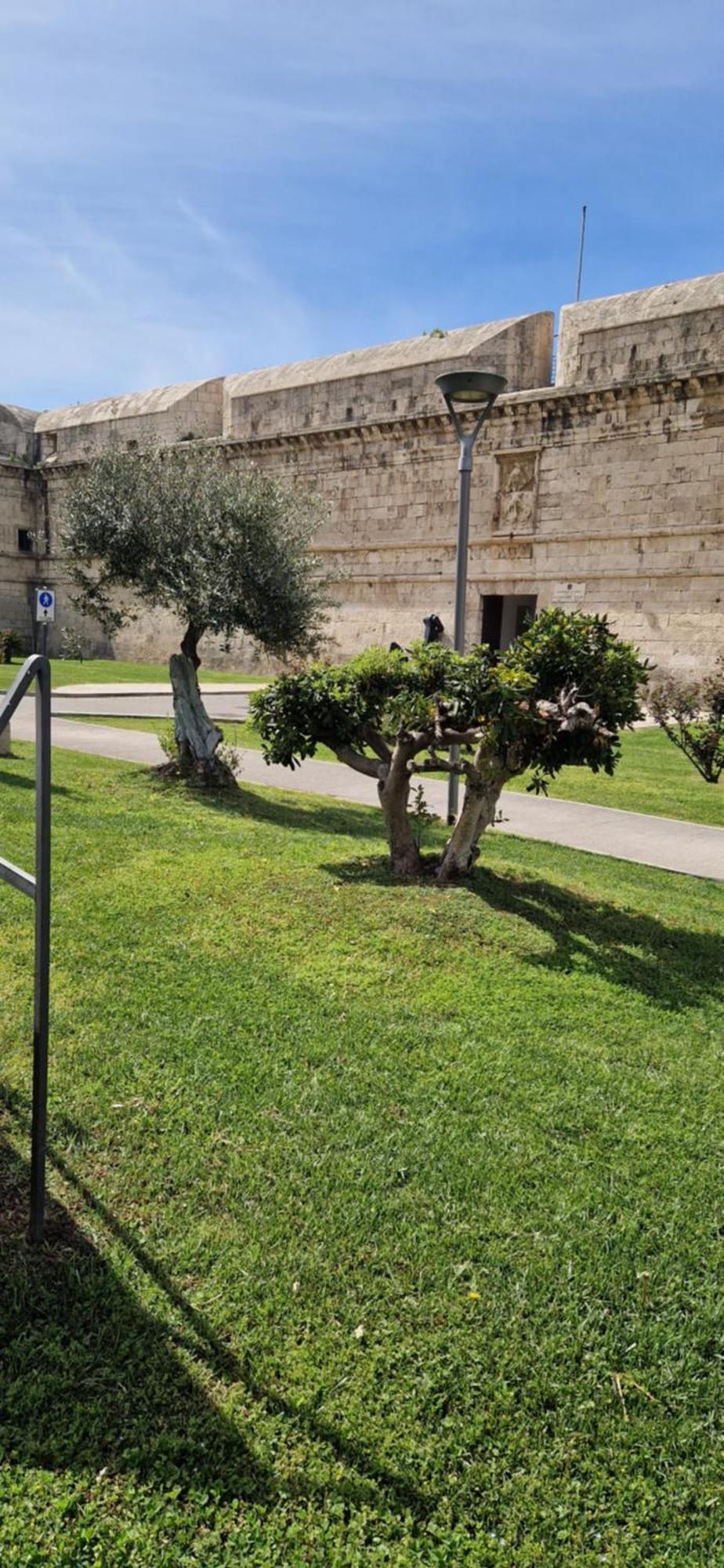 Md House Bed & Breakfast Civitavecchia Exterior photo